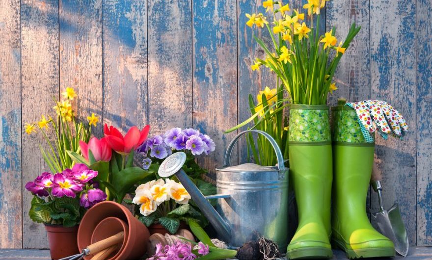Ako na jar vdýchnuť záhrade život