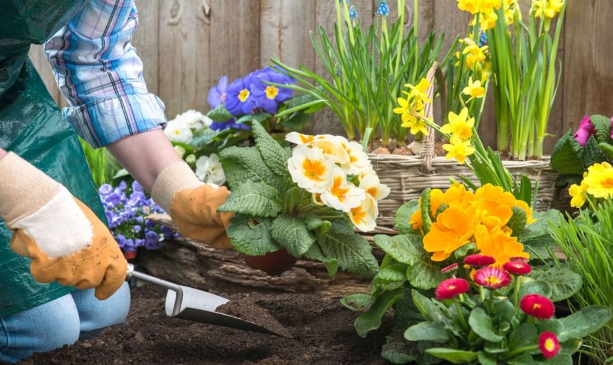 Ako pripraviť záhradné náradie na jar
